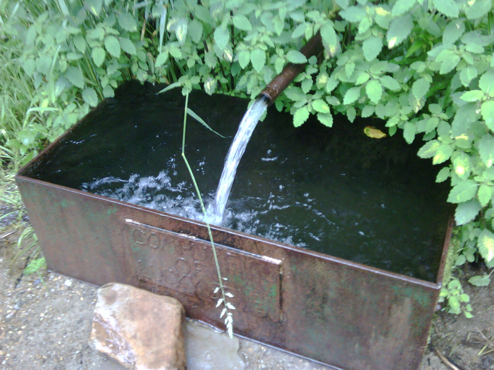 Ripton's natural water fountain.