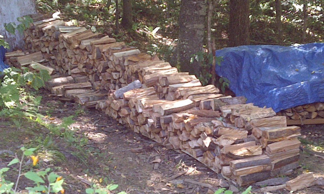 A couple of our woodpiles.