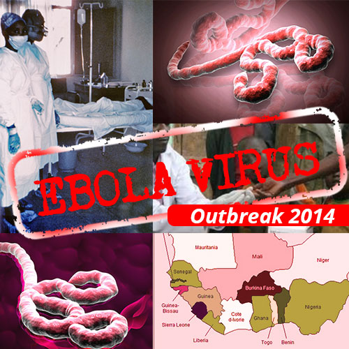 Ebola MOOC