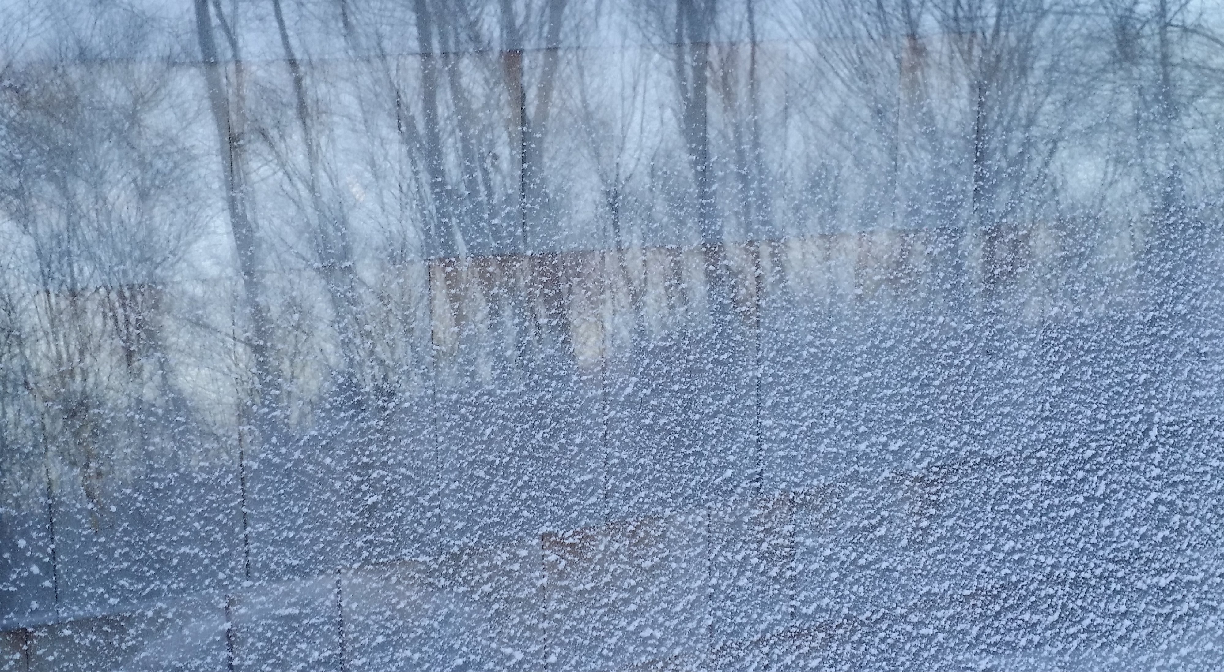 reflections with trees and snow