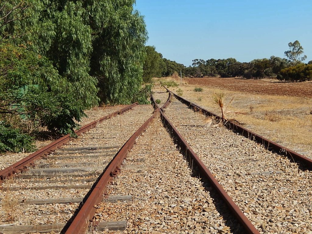 Michael Coghlan, photo of merging railroad lines