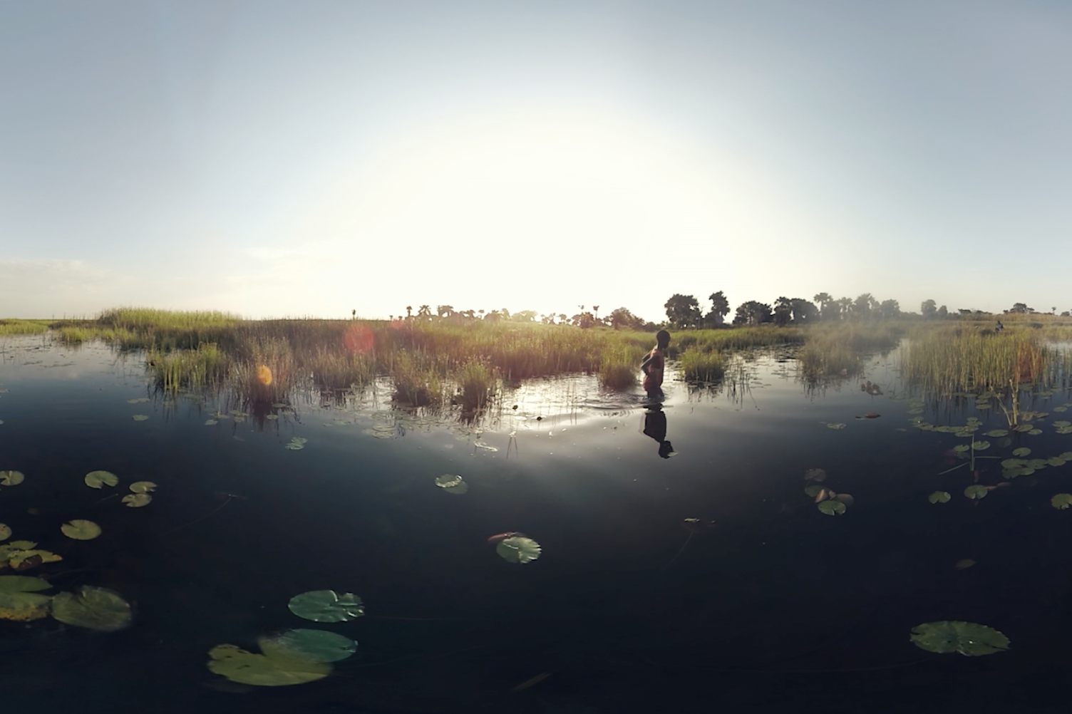 New York Times VR screenshot.