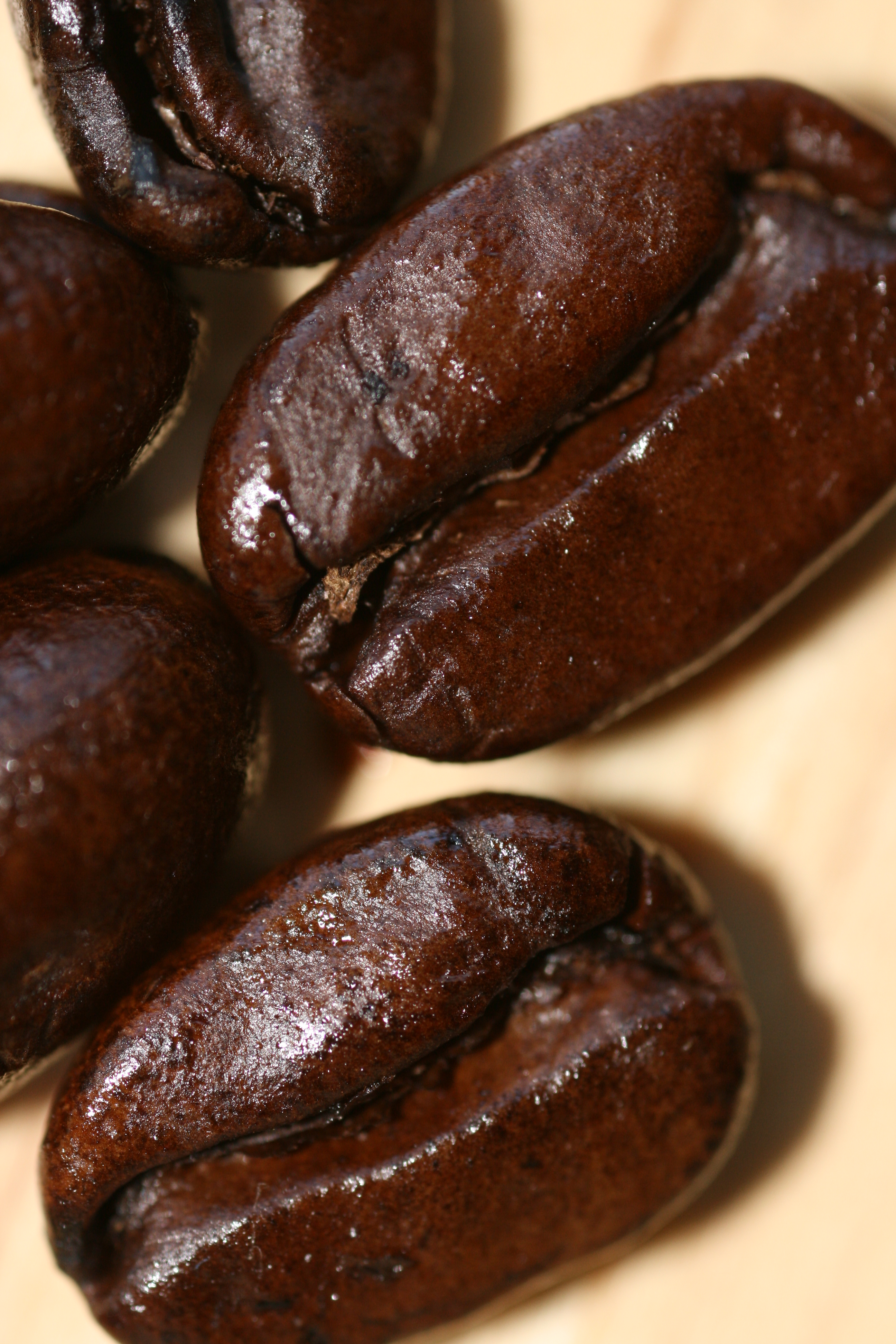 coffee beans, by Quinn Dombrowski