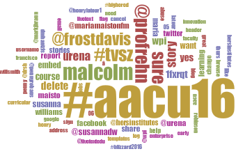 AAC&U tag cloud by Julie Kane