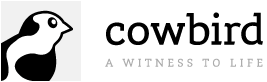 Cowbird logo