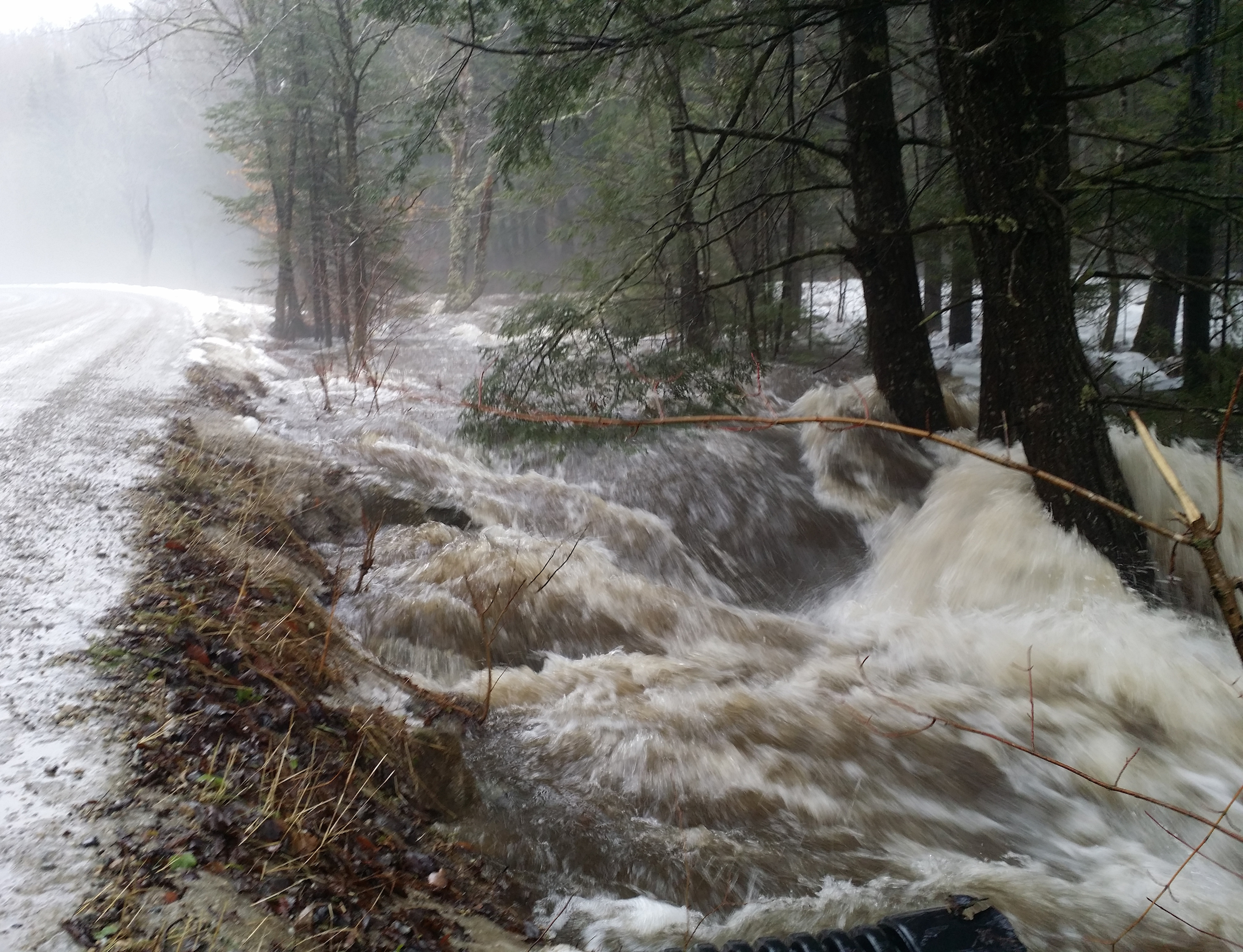 torrents of spring in late February 2016