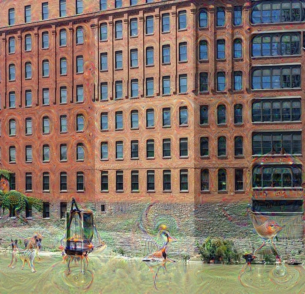 Google Deep Dream example