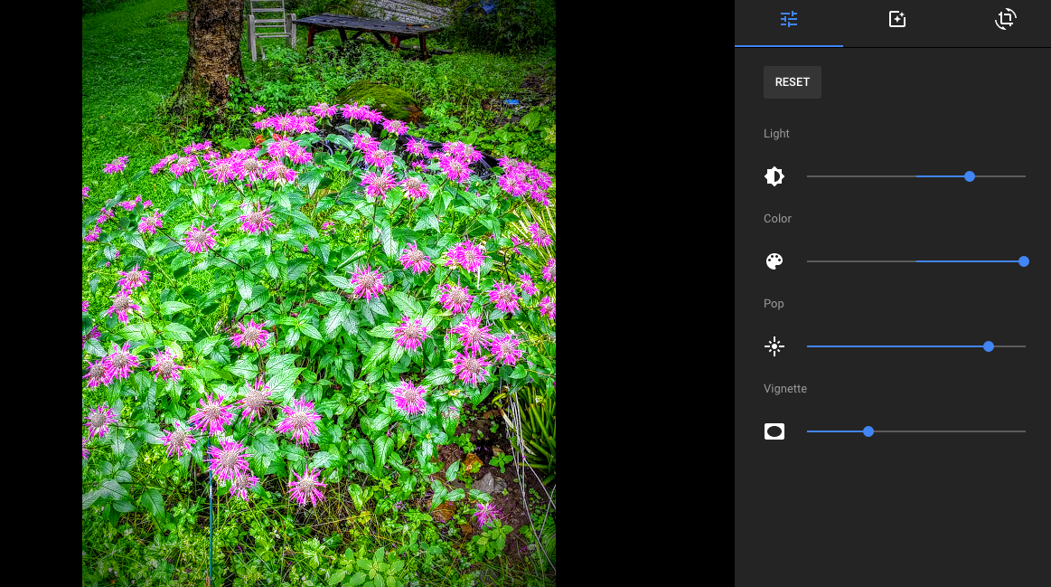 Google + edit box for a photo