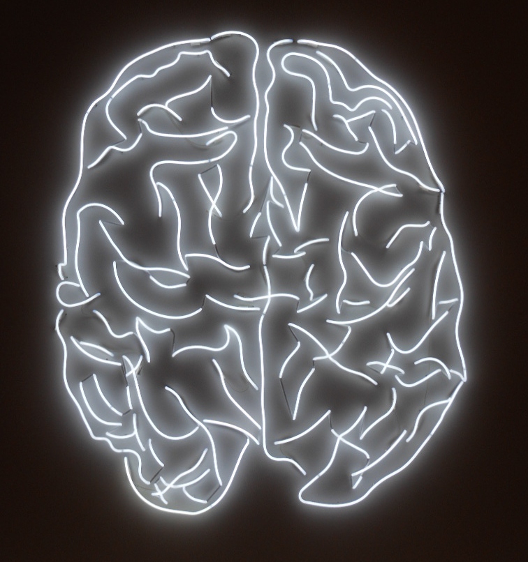 brain-_-mike-coghlan