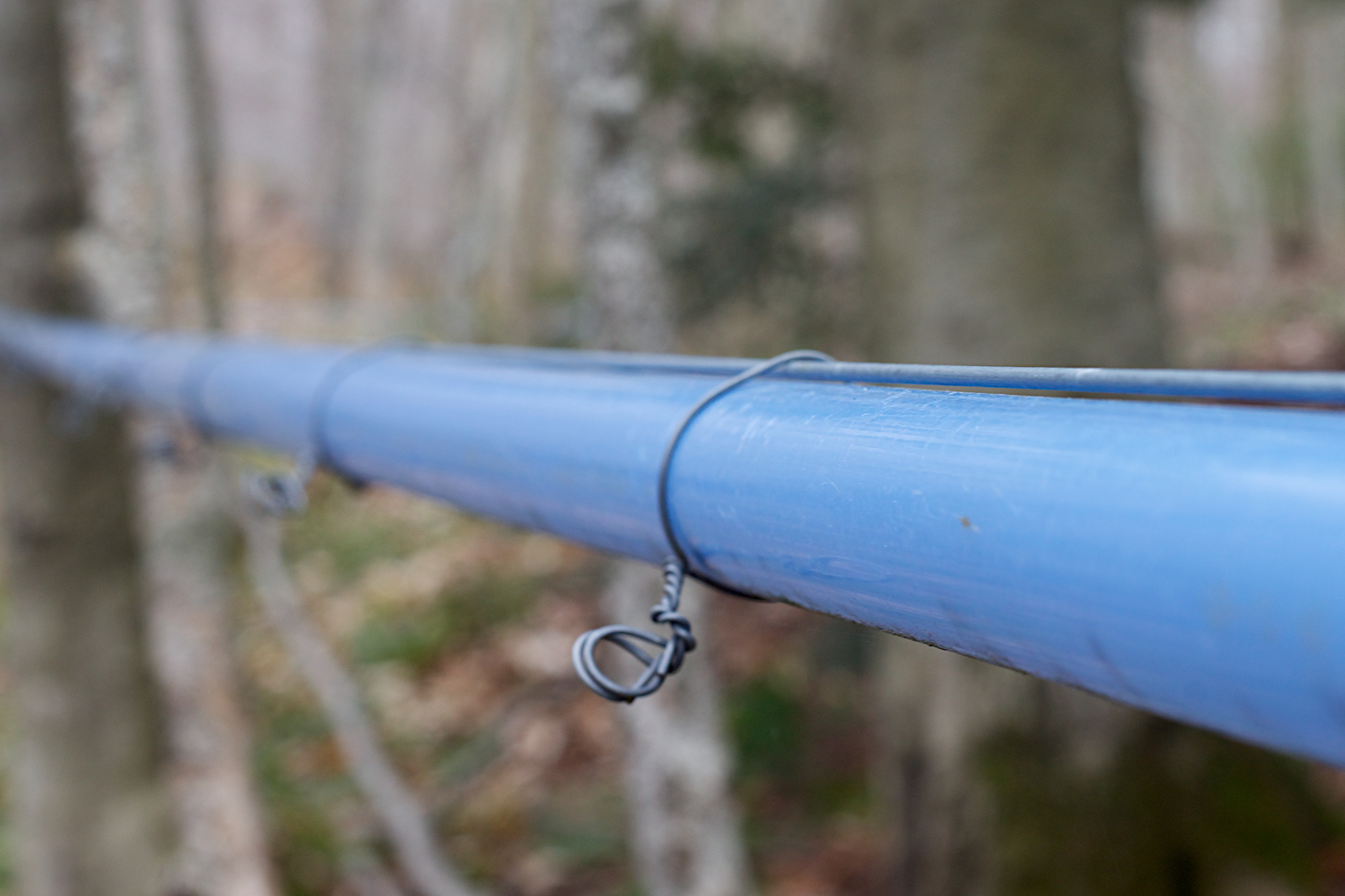 Maple Pipe Line, Alan Levine