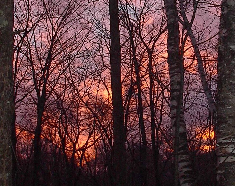 pink-sunset