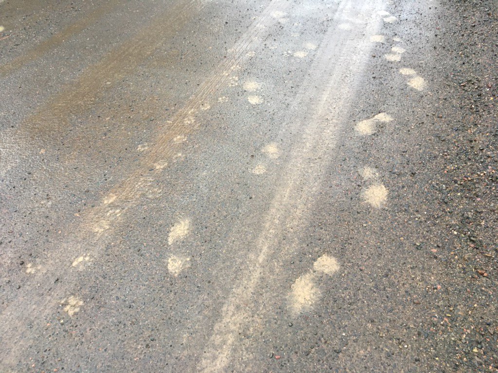 We muddy the road by walking, Alan Levine