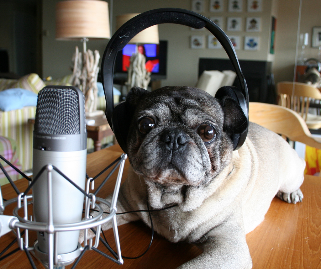 podcast dog Zoomar