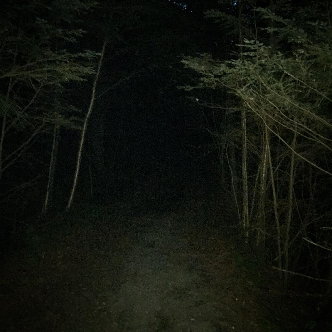 into the darkness