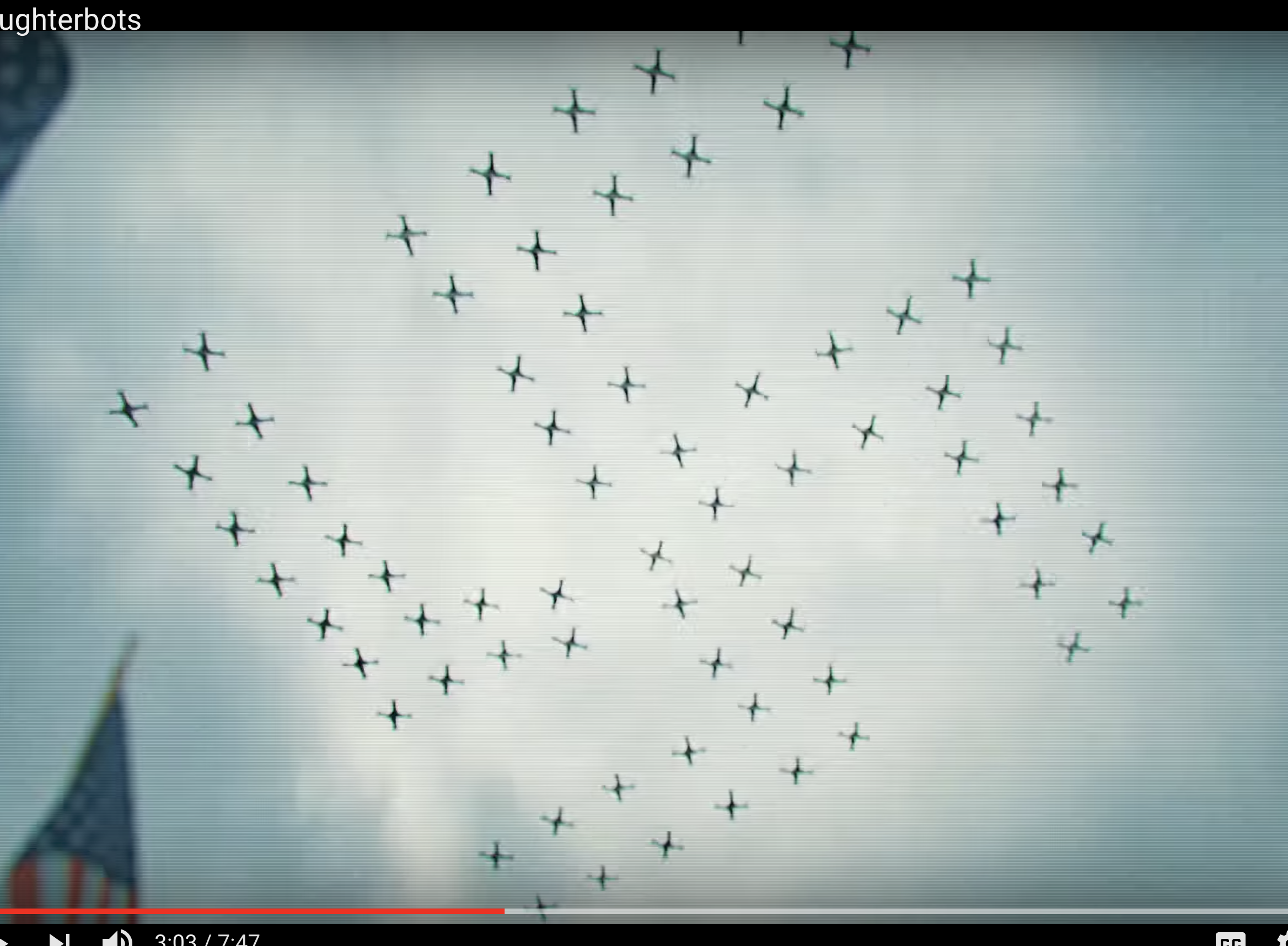 Slaughterbots video, swastika glimpse