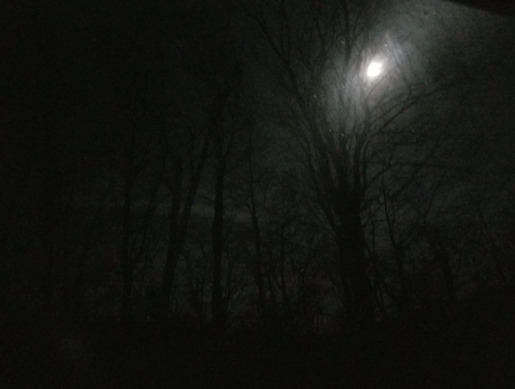 dark morning with moon
