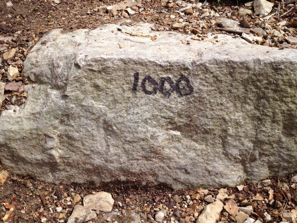 1000, by Cogdog