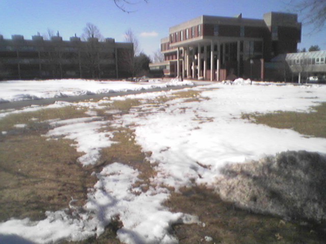 Hampshire College library