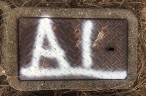 Are You Seeking AI?