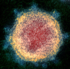 COVID-19 single molecule