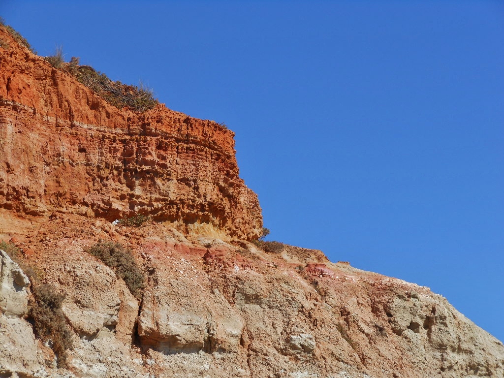 cliff Michael Coghlan