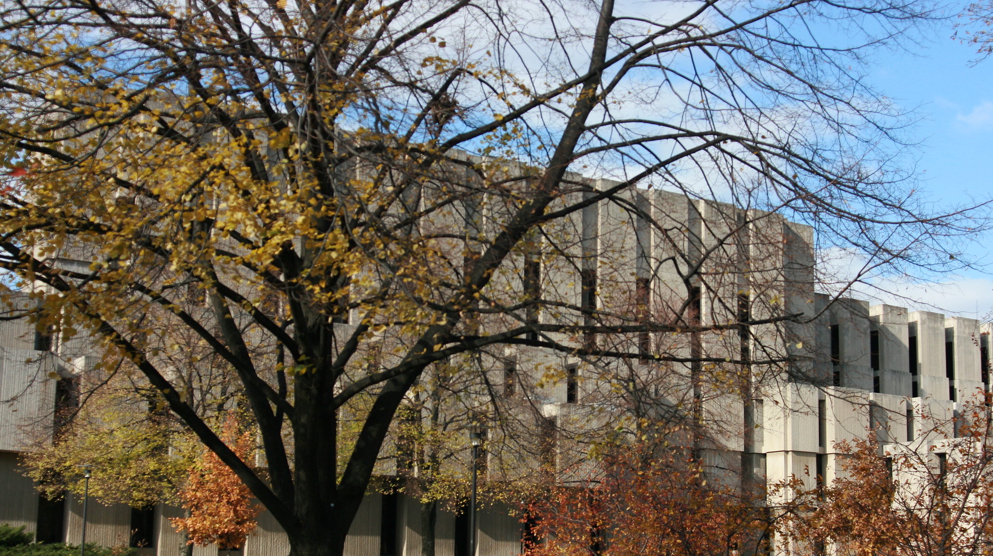 campus autumn Quinn Dombrowski