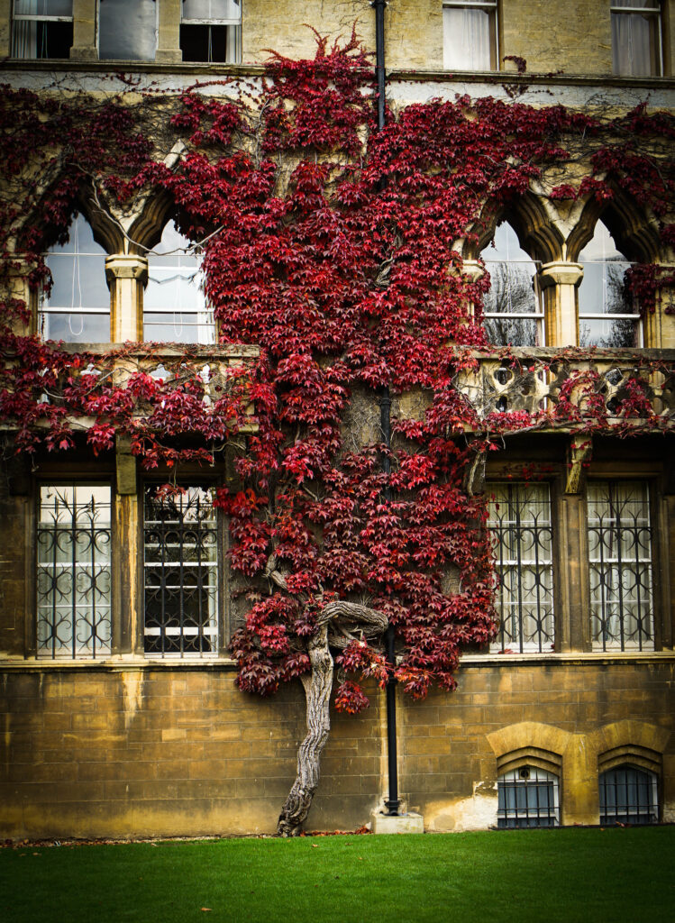 Oxford Christ Church College_Judy Dean