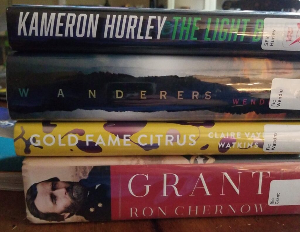 Bull Run Library book pickup_book haul