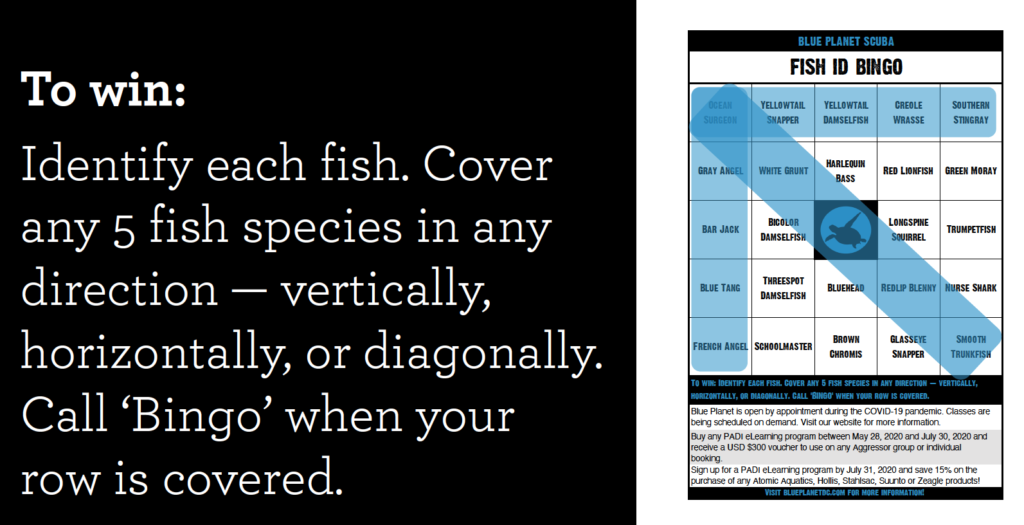 fish Bingo slide