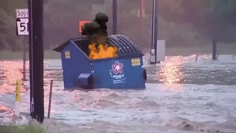 2020 dumpster fire