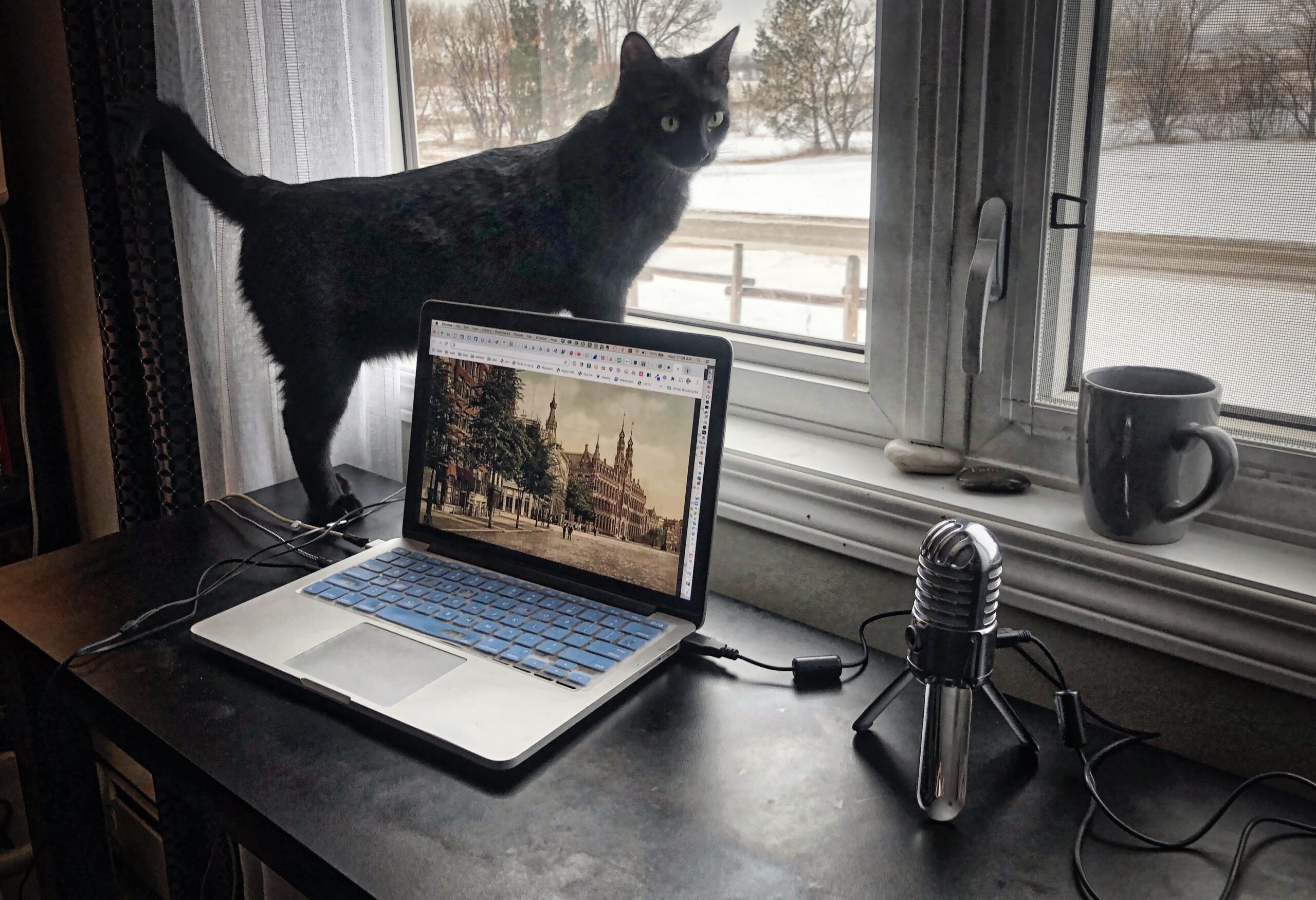 catcasting