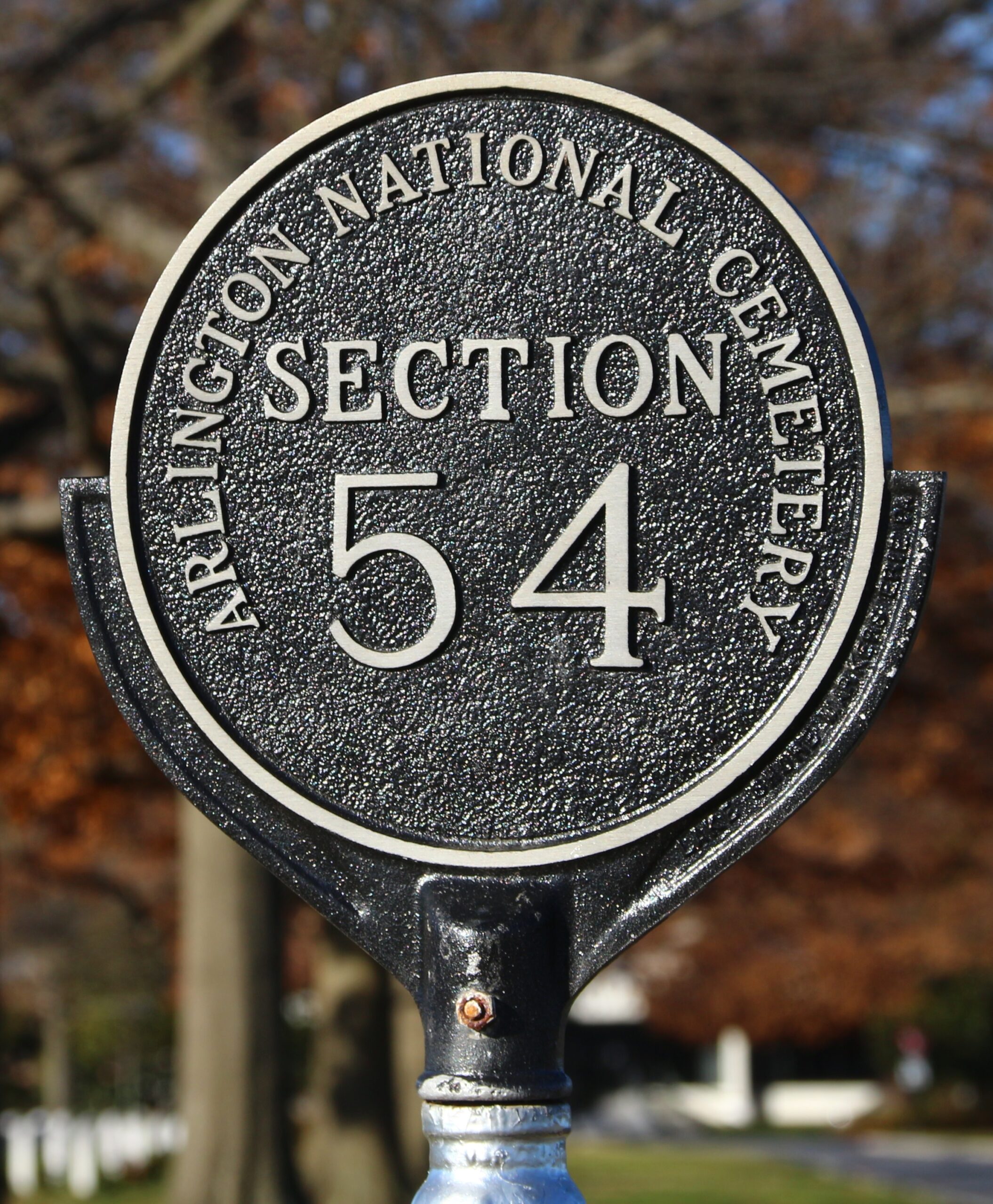 54, by Ben Campney