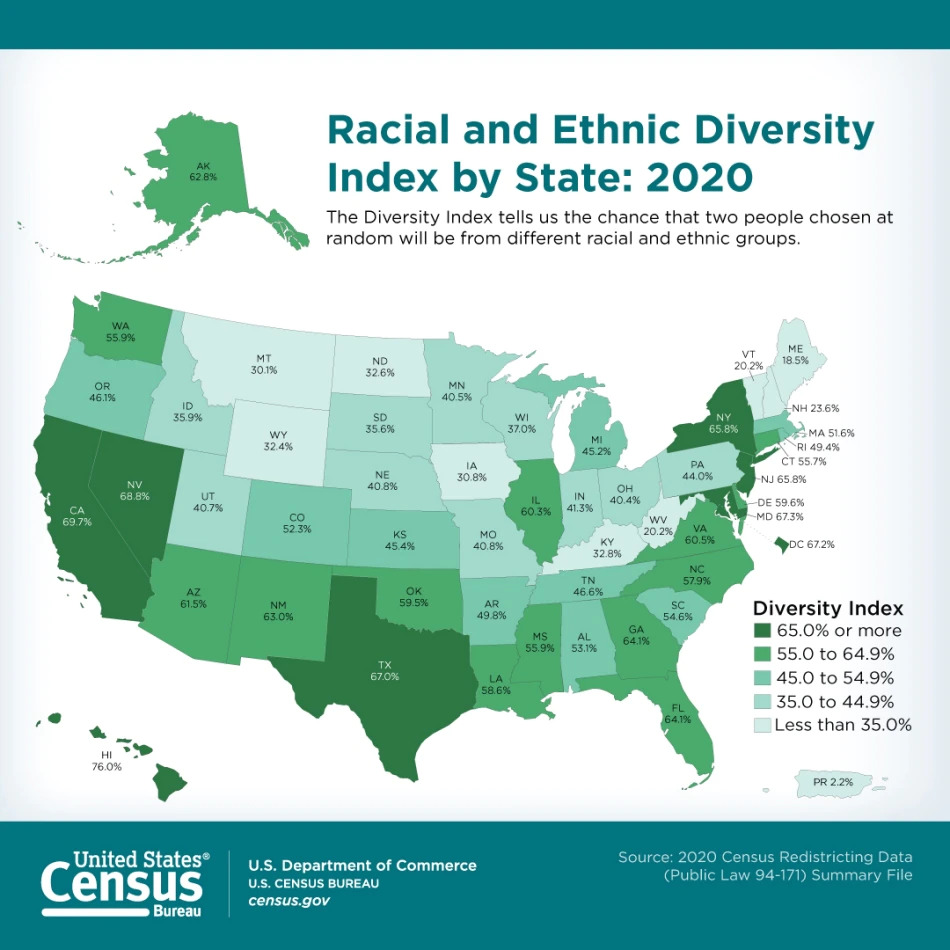 Census US diversity by state 2020