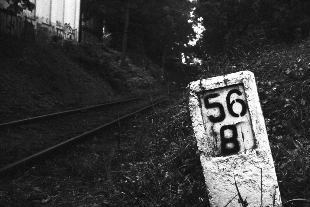 56, by doctor spider