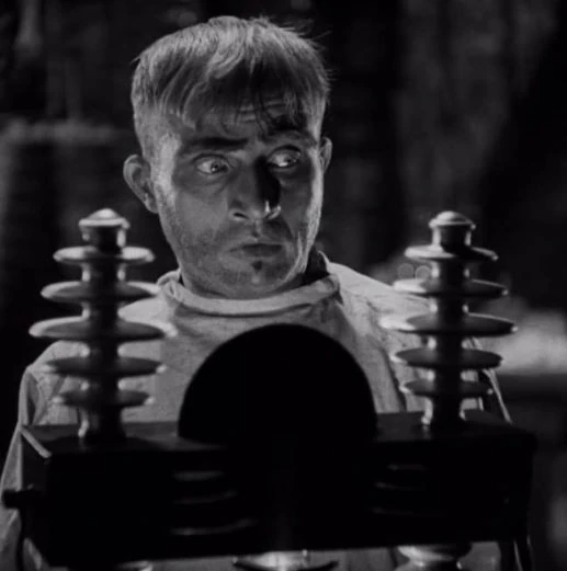 Karl_the_Assistant_The_Bride_of_Frankenstein_1935.JPG