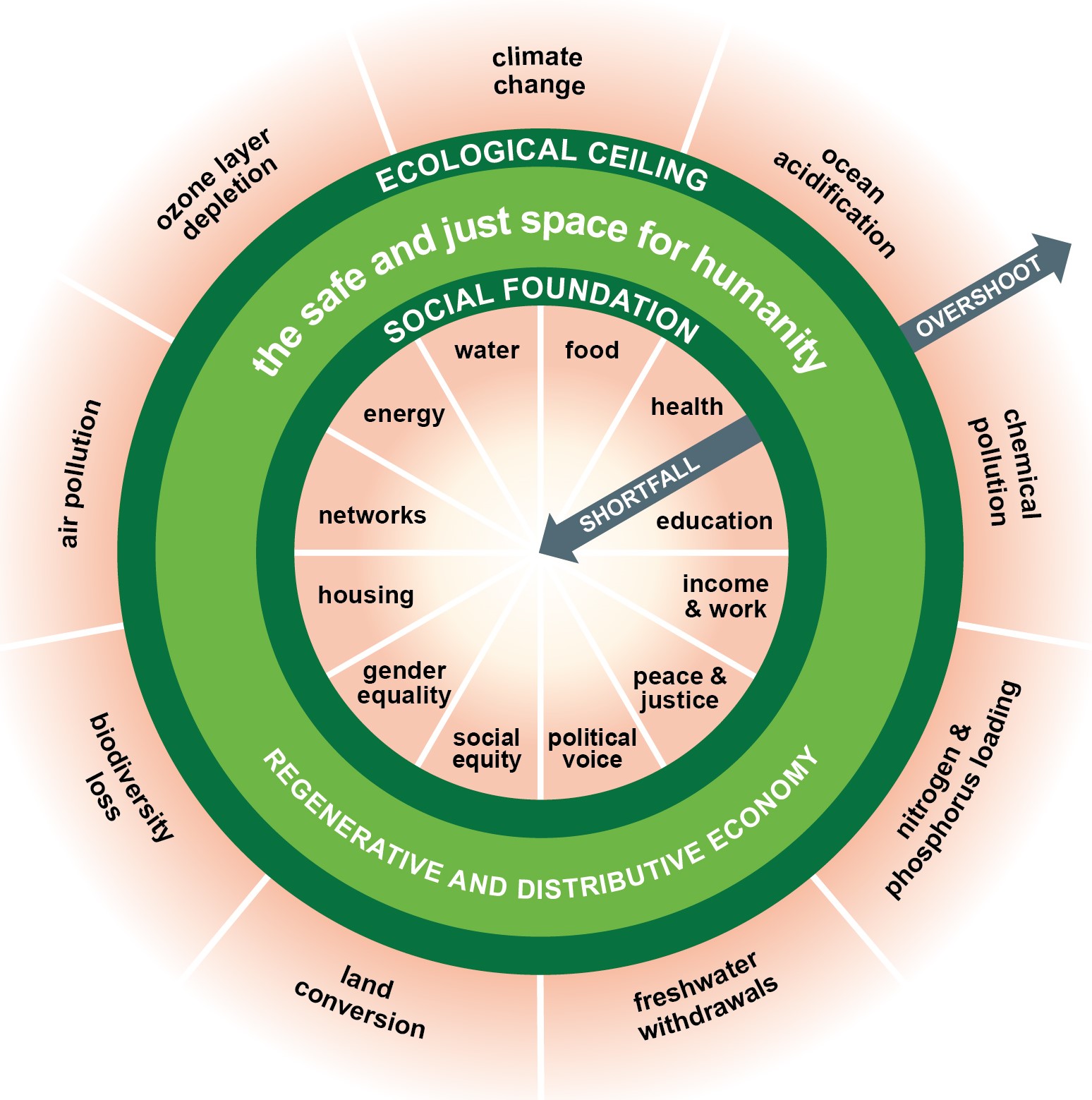 donut economics model, showing ecological limits and social foundation