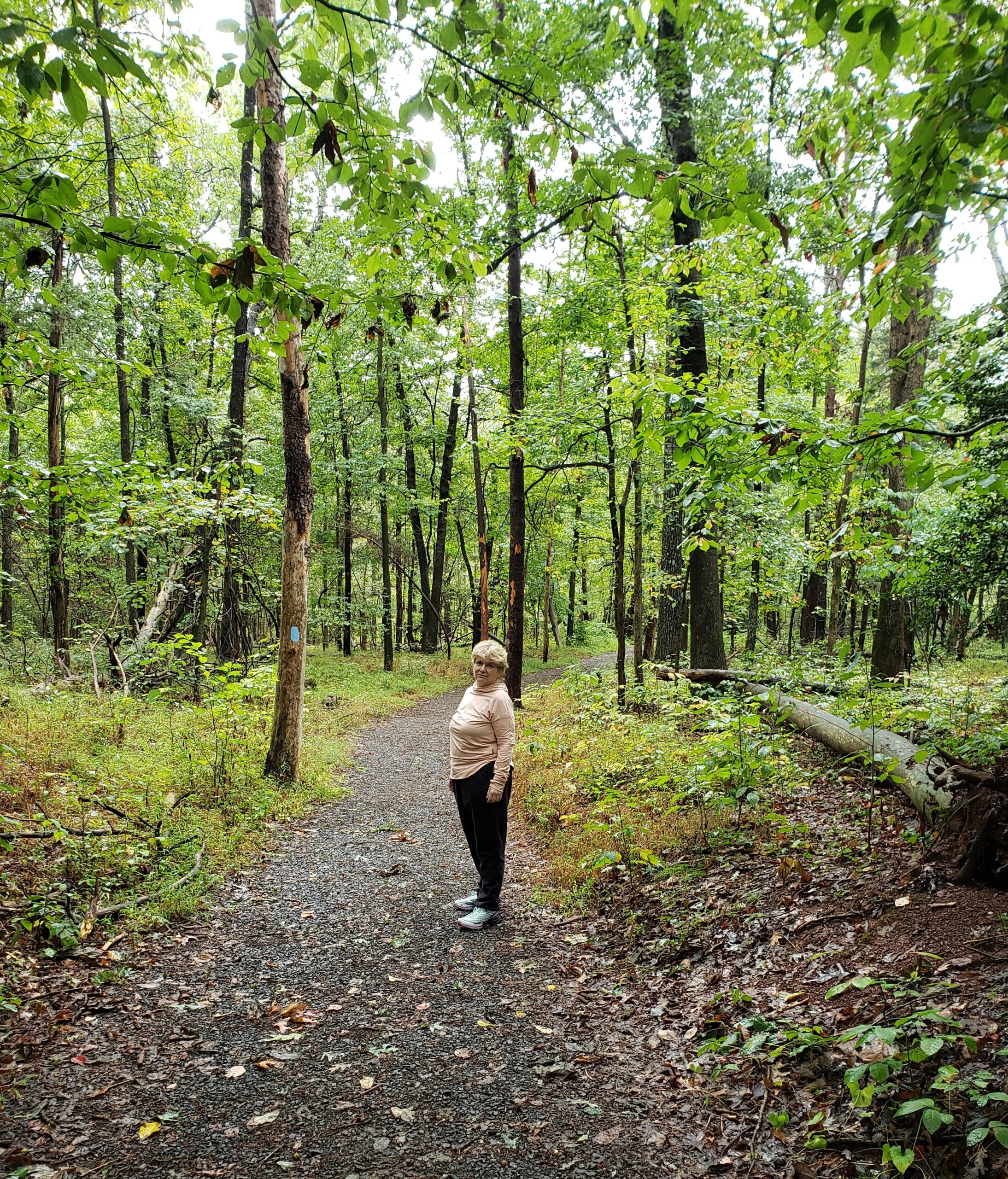 Ceredwyn walking the Manassas battlefield green tunnel path