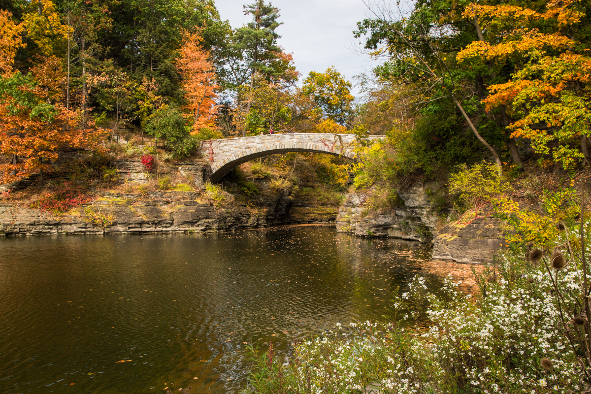 Cornell University footbridge Barbara Friedman
